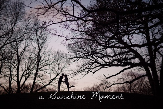 Professional Photography