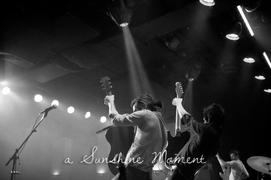 Professional Photography