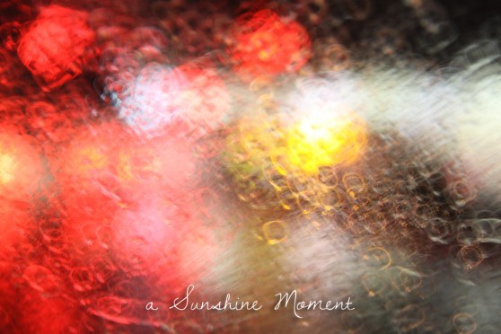 Professional Photography