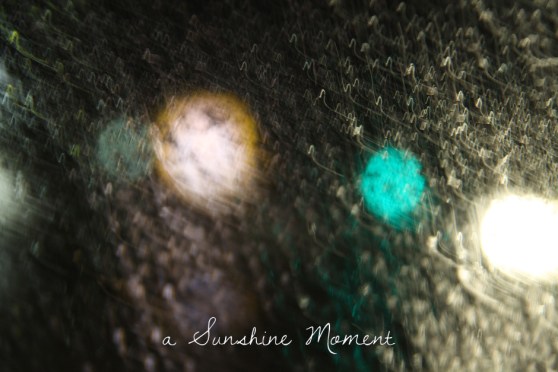 Professional Photography