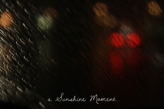 Professional Photography