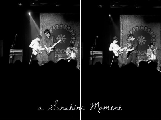 Professional Photography