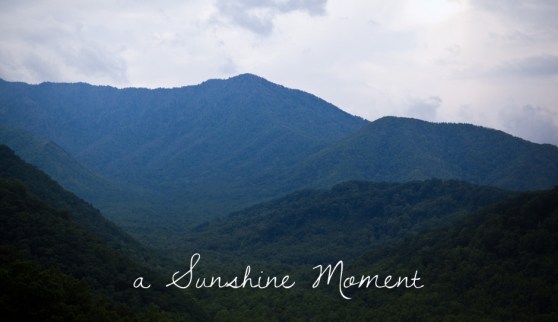 Professional Photography