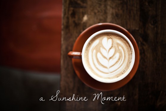 Professional Photography