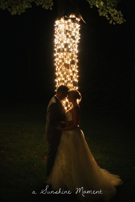 Professional Photography