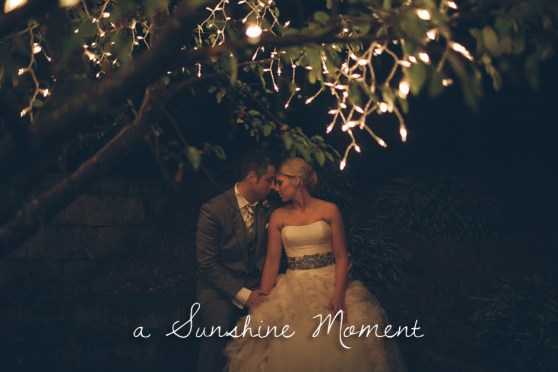 Professional Photography