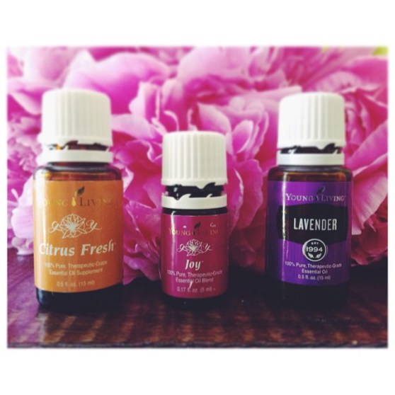 11393052_10204459929999599_105148388758603953_n